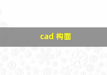 cad 构面